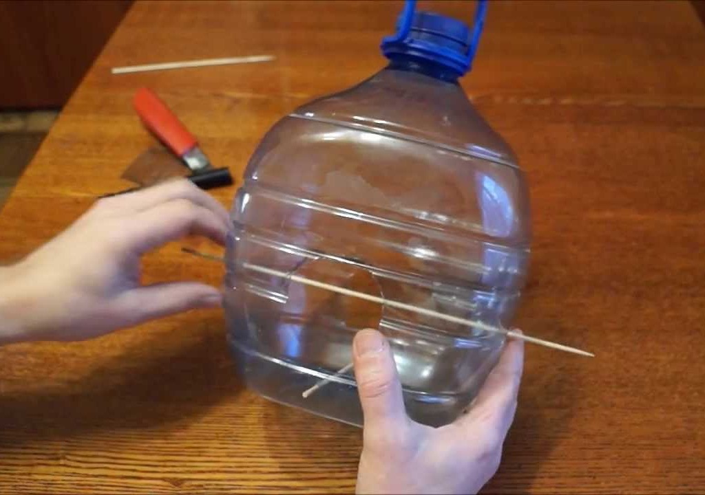 кормушка из пластиковой бутылки с веткой
