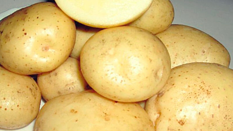 Описание сортов картофеля: фото, отзывы. Ранние, поздние сорта.