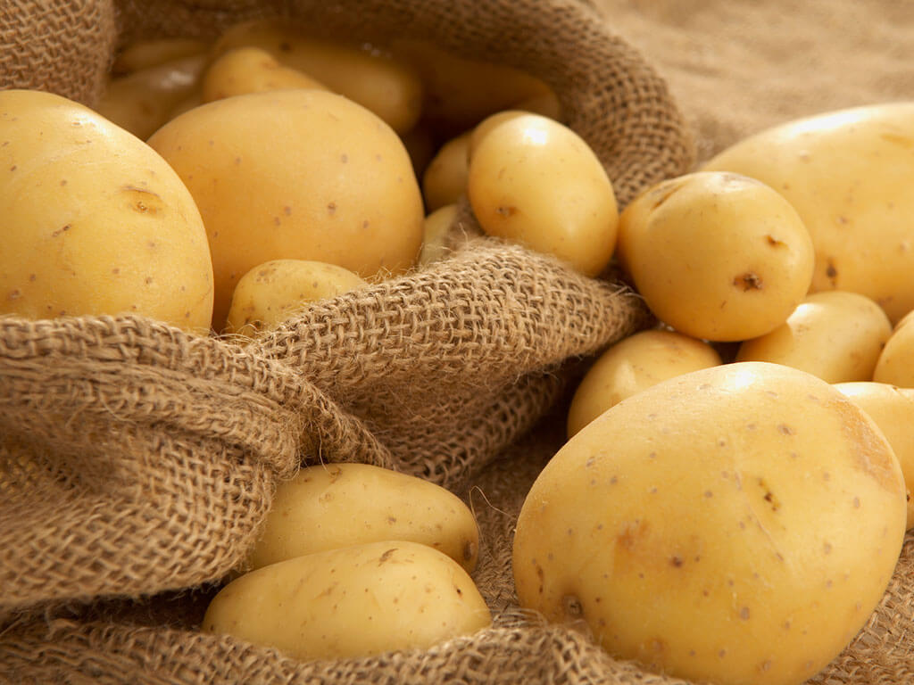 Описание сортов картофеля: фото, отзывы. Ранние, поздние сорта.